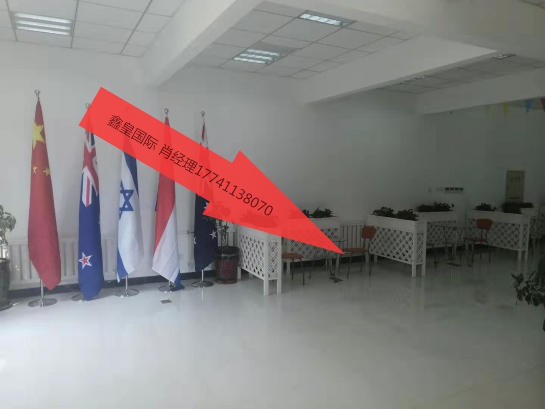 鑫皇國(guó)際1 - 副本.jpg